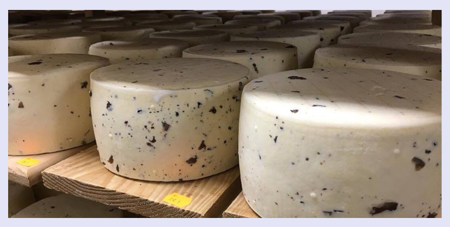 Tartufin Trüffelkäse 300g – Schwarzer Trüffel von der Adria