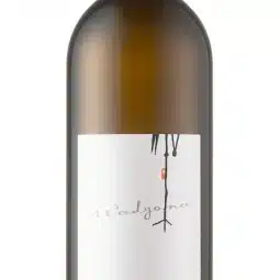 Sauvignon blanc Radgona 0,75 lt trocken